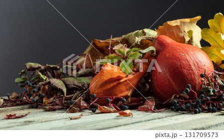 Small pumpkins with dried-up leaves and Maiden grapes. 131709573