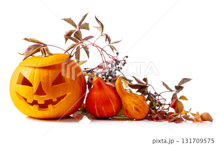 Halloween pumpkins with dried-up leaves isolated on a white background. 131709575