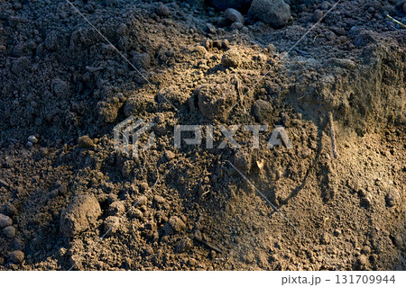 A pile of soil for gardening and construction work 131709944