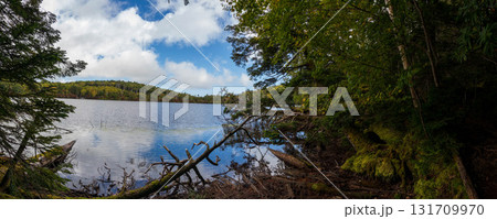 長野県南佐久郡小海町　佐久穂町　10月　八ヶ岳白駒池  池の風景　パノラマ 131709970