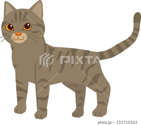 adorable gray american shorthair cat with striped fur, standing calmly in minimalist flat style adorable gray american shorthair cat with striped fur, standing calmly in minimalist flat style 131710102