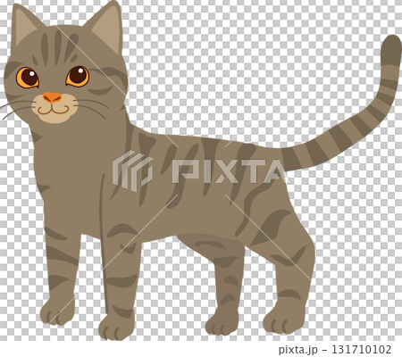 adorable gray american shorthair cat with striped fur, standing calmly in minimalist flat style adorable gray american shorthair cat with striped fur, standing calmly in minimalist flat style 131710102