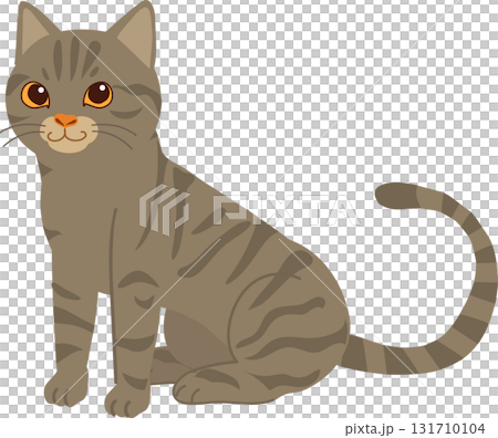 gray tabby cat illustration showing a friendly american shorthair sitting calmly indoors perfect for pet themed design 131710104