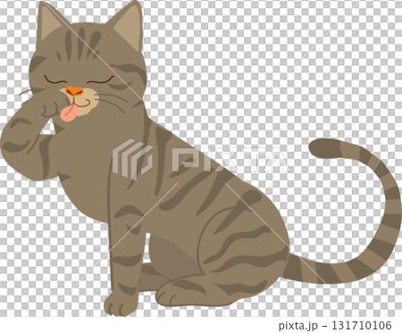 a cute brown tabby cat sits calmly licking its paw during grooming 131710106
