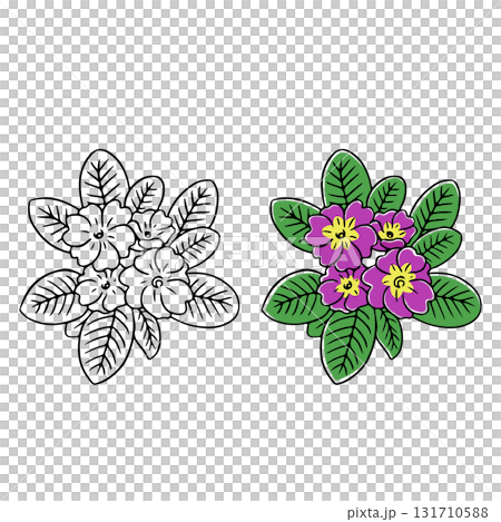 プリムライラスト 131710588