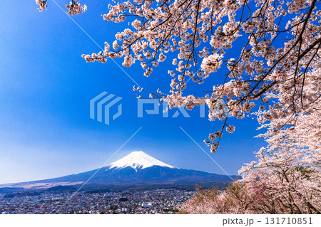 【山梨県_富士吉田市】春の新倉山浅間公園から見る富士山 4月 131710851