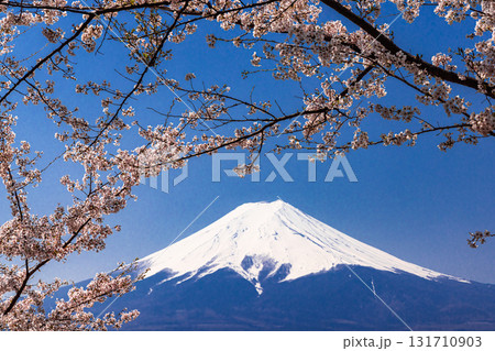 【山梨県_富士吉田市】春の新倉山浅間公園から見る富士山 4月 131710903