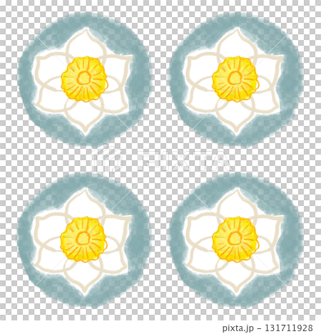 Narcissus flower 131711928