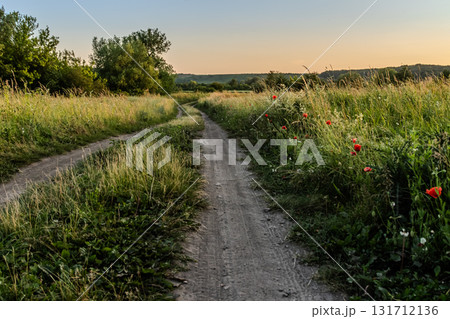 Serene countryside path winding through vibrant wildflowers during sunset capturing nature's beauty and tranquility in the evening light Serene countryside path winding through vibrant wildflowers during sunset capturing nature's beauty and tranquility in the evening light 131712136