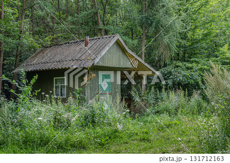 Old wooden cabin nestled in lush green forest surrounded by tall trees and wild grasses during a tranquil afternoon 131712163