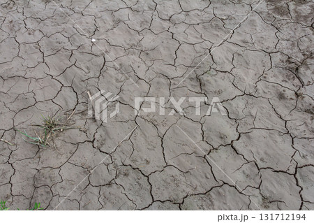 Dry and cracked earth with sparse vegetation indicating drought conditions in an arid landscape during the daytime 131712194