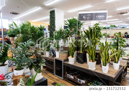 島忠ホームズ仙川店　観葉植物売場　東京都調布市若葉町 131712532