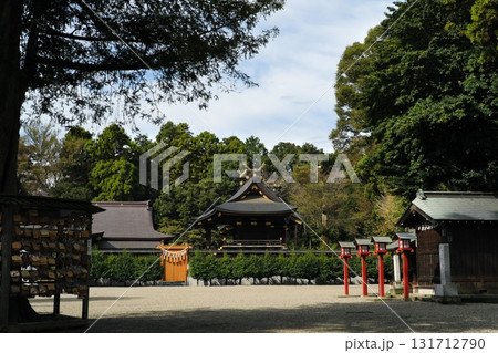 初秋の鷲宮神社 131712790