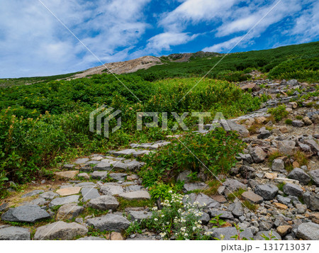 夏の白山 131713037