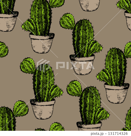 Seamless pattern with cacti, blooming succulent on color background. Vector hand drawn illustration for packaging, fabric, textile. Wild west cactus, western concept 131714326
