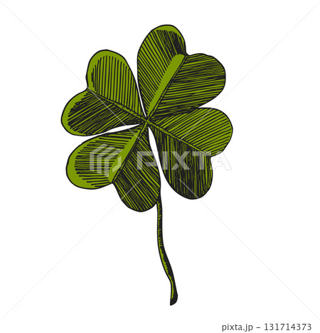 Clover leaves sketch. Decorative sceleton leaf icons. Vector hand drawn illustration. Minimal line art style. St Patrick's day elements 131714373