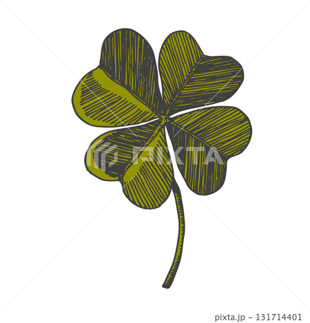 Clover leaves sketch. Decorative sceleton leaf icons. Vector hand drawn illustration. Minimal line art style. St Patrick's day elements 131714401
