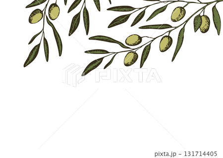 Botanic background with olive branch sketch. Ink hand drawn olives set. Botanic plant vector illustration. A sprig of an olive tree with leaves. Food concept. Wallpaper with greenery olive tree 131714405