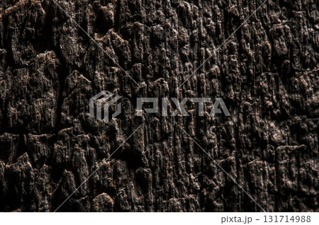 Wood grain looks like a map with natural borders, streams, and ridges Wood grain looks like a map with natural borders, streams, and ridges 131714988