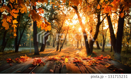 beautiful Autumn Landscape - Trees And Orange Foliage In Park At Sunset 131715231