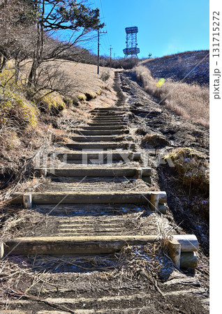 愛鷹連峰 越前岳へ続く道 十里木高原の登山道 愛鷹連峰 越前岳へ続く道 十里木高原の登山道 131715272
