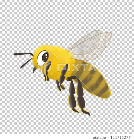 ミツバチ1 ミツバチ1 131715277