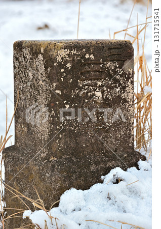 愛鷹山塊の越前岳 雪の馬ノ背見晴台の三角点 愛鷹山塊の越前岳 雪の馬ノ背見晴台の三角点 131715541