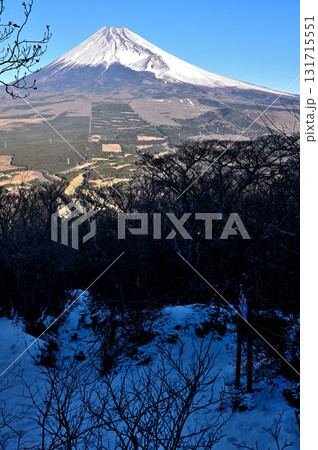 愛鷹山塊の越前岳　真冬の平坦地から望む富士山 131715551