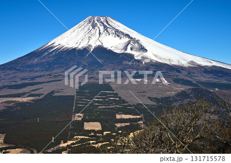 愛鷹連峰の越前岳より望む 雪化粧の富士山と宝永火口 愛鷹連峰の越前岳より望む 雪化粧の富士山と宝永火口 131715578