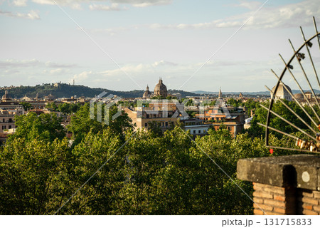 Panoramic cityscape view of Rome with historic architecture and green trees under blue sky 131715833