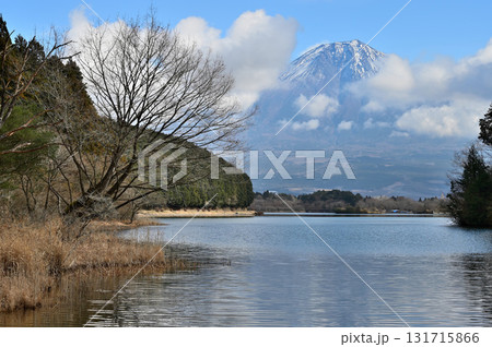 静岡県富士宮市　田貫湖畔より望む冬の富士山 131715866