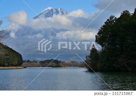静岡県富士宮市 田貫湖畔より望む冬の富士山 静岡県富士宮市 田貫湖畔より望む冬の富士山 131715867