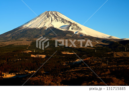 愛鷹山塊の越前岳より 十里木高原展望台から望む朝日を浴びる雪の富士山と宝永火口 愛鷹山塊の越前岳より 十里木高原展望台から望む朝日を浴びる雪の富士山と宝永火口 131715885