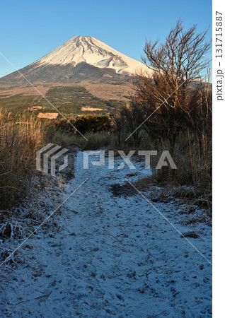 愛鷹山塊の越前岳へ登る雪道より望む朝の富士山 愛鷹山塊の越前岳へ登る雪道より望む朝の富士山 131715887