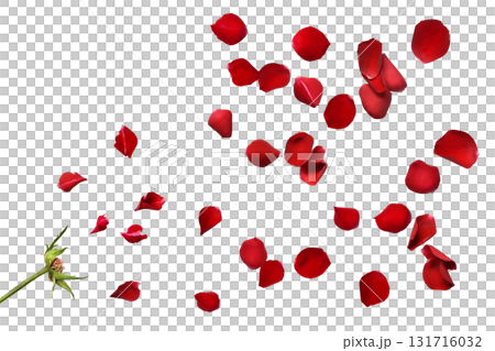 A floral shadowless background with scattered red rose petals 131716032