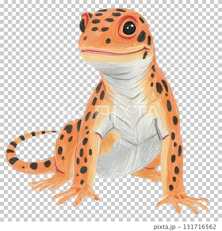レオパードゲッコーの色鉛筆の手書き風イラスト レオパードゲッコーの色鉛筆の手書き風イラスト 131716562