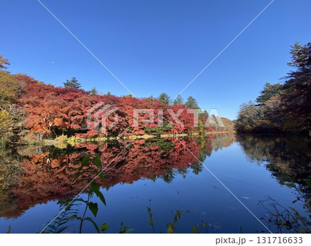 日本の紅葉 軽井沢 雲場池 日本の紅葉 軽井沢 雲場池 131716633
