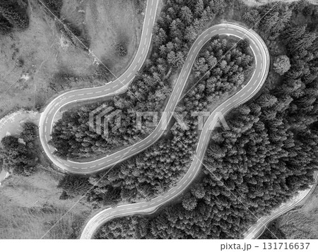 This aerial view showcases the captivating serpentine roads of the Alps, surrounded by lush forests. The curves create a scenic route perfect for a roadtrip adventure. 131716637