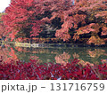日本の紅葉　軽井沢　雲場池　 131716759