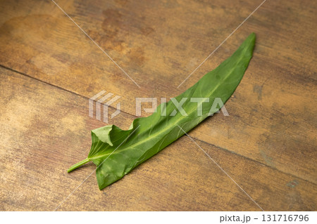 あさがお菜(空芯菜)のイメージ 131716796