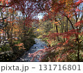 日本の紅葉　軽井沢　雲場池　 131716801