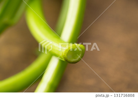あさがお菜(空芯菜)の断面イメージ あさがお菜(空芯菜)の断面イメージ 131716808
