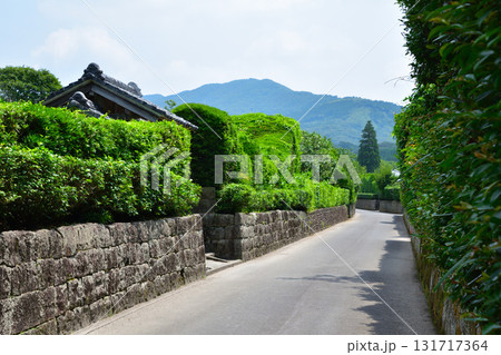 鹿児島県　知覧武家屋敷群 131717364
