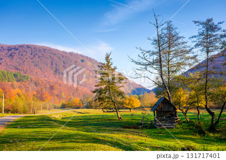 serene countryside landscape among transcarpathia hills. colorful deciduous trees on a lush green meadow under blue sky. beautiful view of a place in ukraine on a sunny october morning serene countryside landscape among transcarpathia hills. colorful deciduous trees on a lush green meadow under blue sky. beautiful view of a place in ukraine on a sunny october morning 131717401