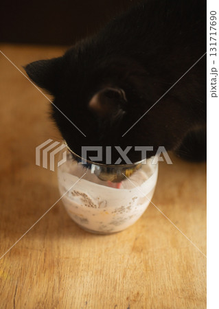 Black cat drinks chia pudding from glass close up Black cat drinks chia pudding from glass close up 131717690