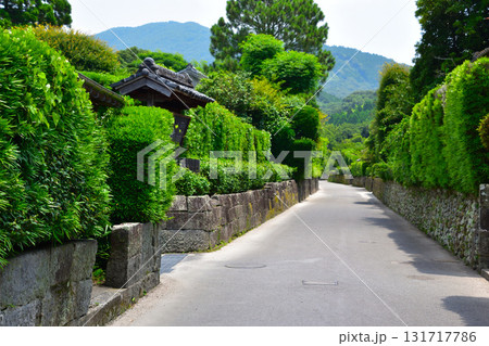 鹿児島県 知覧武家屋敷群 鹿児島県 知覧武家屋敷群 131717786