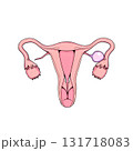 representation of the uterus 131718083