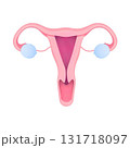 representation of the uterus 131718097