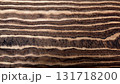 The of a macro photo of sycamore board surface with black wood texture 131718200