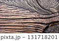 The of a macro photo of the texture of a section of black oak with a wood structure 131718201